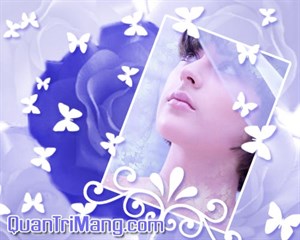 Photoshop CS: Trang trí ảnh