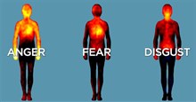 Bản đồ cảm xúc của cơ thể:  Mối liên hệ giữa cảm xúc, trạng thái sinh lý và hành vi