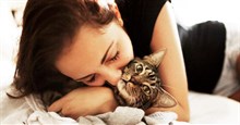 Âu yếm với mèo có thể bị sưng não, nhiễm trùng tim