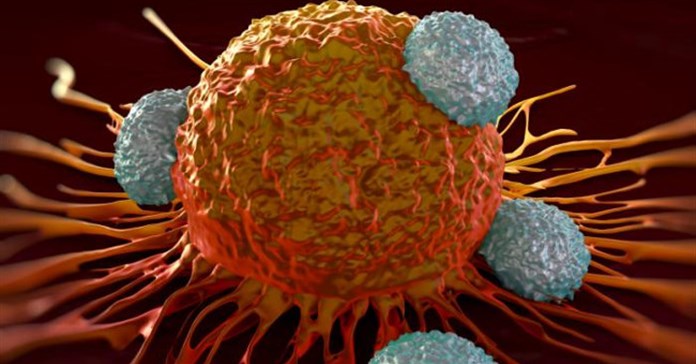 Tìm ra hợp chất có thể diệt 25% tất cả các loại ung thư trong môi trường thử nghiệm