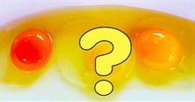 Trước khi ăn trứng, hãy để ý đến màu sắc của lòng đỏ trứng
