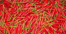 Ăn ớt đỏ giảm 13% nguy cơ tử vong bởi đột quỵ, tim mạch