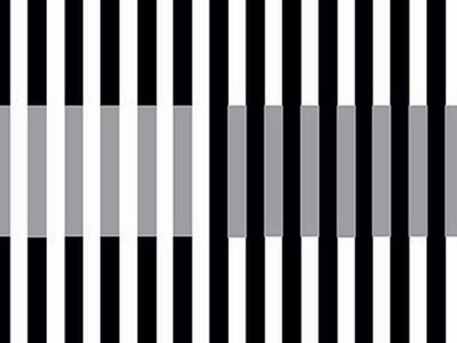 Bên nào nhiều phần trắng hơn?