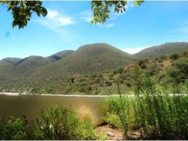 Bạn nhìn thấy gì trong bức ảnh?