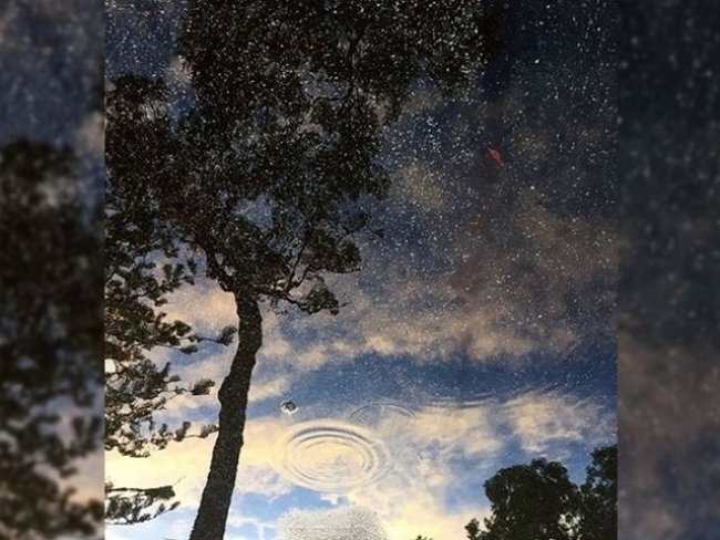 Bạn thấy gì trong bức ảnh?