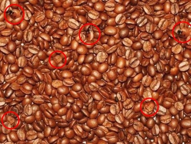 Trong bức hình đó có tất cả 3 con bọ và 3 khuôn mặt đứa bé