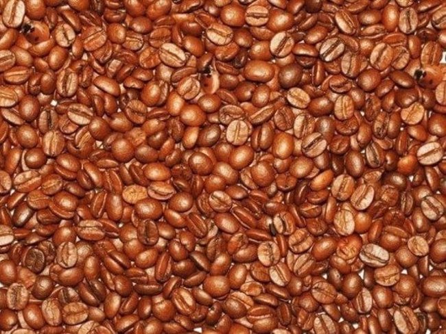 Bạn có nhìn thấy mặt của ba đứa trẻ và ba con bọ rùa không?