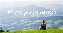 Nếu bạn đang đi tìm mục đích cuộc đời mình, hãy đọc bài viết này!