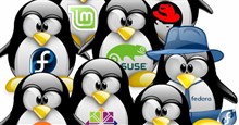 13 distro Linux cho người mới