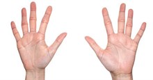 Tại sao bàn tay con người có 5 ngón?