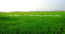 Đố bạn: 1 Ha (hecta) bằng bao nhiêu m2, km2?