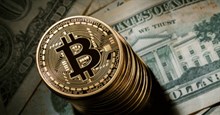 Giá Bitcoin hôm nay 20/02/2026, cập nhật giá Bitcoin liên tục