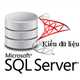 Các kiểu dữ liệu trong SQL Server