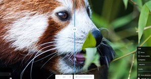 Google tung ra Squoosh, ứng dụng chuyển đổi ảnh trực tuyến