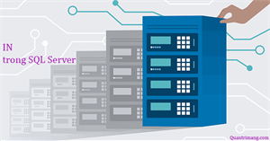 Điều kiện IN trong SQL Server