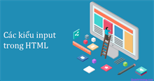 Các loại dữ liệu đầu vào của phần tử input trong HTML