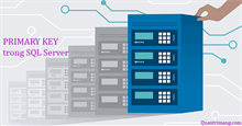 Khóa chính PRIMARY KEY trong SQL Server