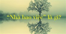 Nhà bao việc là gì mà thành trào lưu?