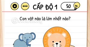 Đáp Án Brain Test, giải Brain Test mới nhất, liên tục cập nhật