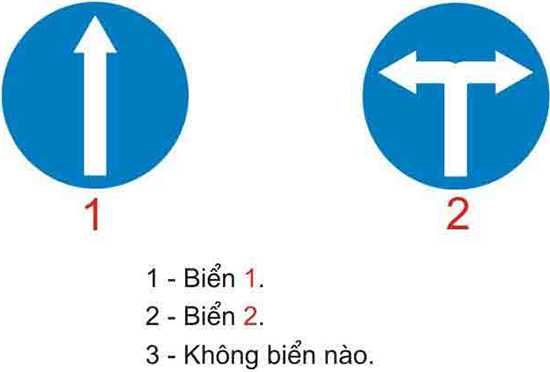 Câu hỏi 19: Biển nào (đặt trước ngã ba ngã tư) cho phép xe được rẽ sang hướng khác?