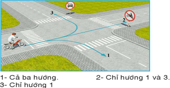 Câu hỏi 30: Theo hướng mũi tên, những hướng nào xe gắn máy đi được?