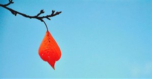 Những câu chuyện ý nghĩa về cuộc sống bạn nên đọc một lần trong đời