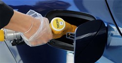 Giá xăng dầu hôm nay 20/02/2026