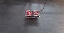 Robot này chỉ mất 2 giờ để tự học cách đi bộ