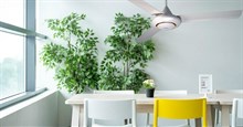 Những mẫu quạt trần Panasonic không thể bỏ qua cho nhà ở phong cách hiện đại