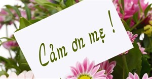 Những lời cảm ơn mẹ hay và chân thành nhất