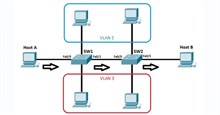 VLAN là gì? Làm thế nào để cấu hình một VLAN trên Switch?