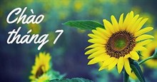 Những câu nói hay về tháng 7, stt chào tháng 7 yêu thương