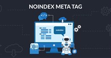 Thẻ No-index là gì? Chúng có tác động gì đến SEO?