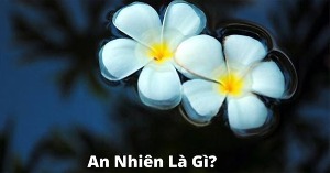 An nhiên là gì? Làm sao có được cuộc sống an nhiên?