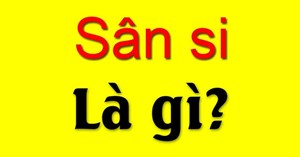 Sân si là gì? Ý nghĩa của sân si?