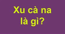 Xu cà na là gì? Xu cà na là gì trên Facebook?