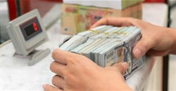 Tỷ giá USD hôm nay 21/02/2026