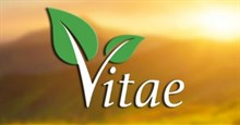 Mạng xã hội Vitae là gì? Có phải Vitae đa cấp, lừa đảo người dùng?