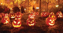 Top phim Halloween hay kinh điển mà bạn không thể bỏ qua