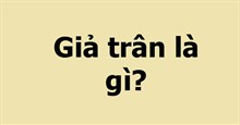 Giả trân là gì?