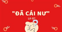 ‘Đã cái nư’ là gì?