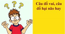 17 Câu đố vui, câu đố trí tuệ hại não hay, có đáp án
