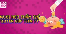 Đáp án Momo cho Heo đi thi cập nhật hàng ngày