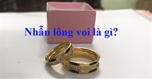 Nhẫn lông voi là gì?