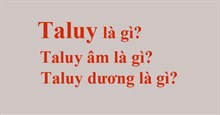 Taluy là gì? Taluy âm là gì? Taluy dương là gì?