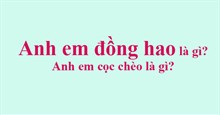 Anh em đồng hao là gì? Anh em cọc chèo là gì?