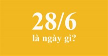 28/6 là ngày gì? 