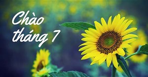 Những bài thơ về tháng 7 hay, thơ ngắn về tháng 7 đong đầy cảm xúc