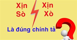 Xịn sò hay xịn xò là đúng chính tả? Có đến 90% người dùng bị sai