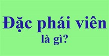 Đặc phái viên là gì? Đặc phái viên của tổng thống là gì?